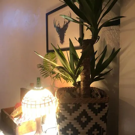 招待所 北沙旅馆