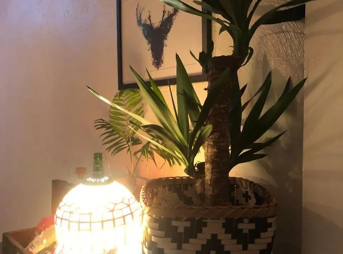 Pensjonat North Sands