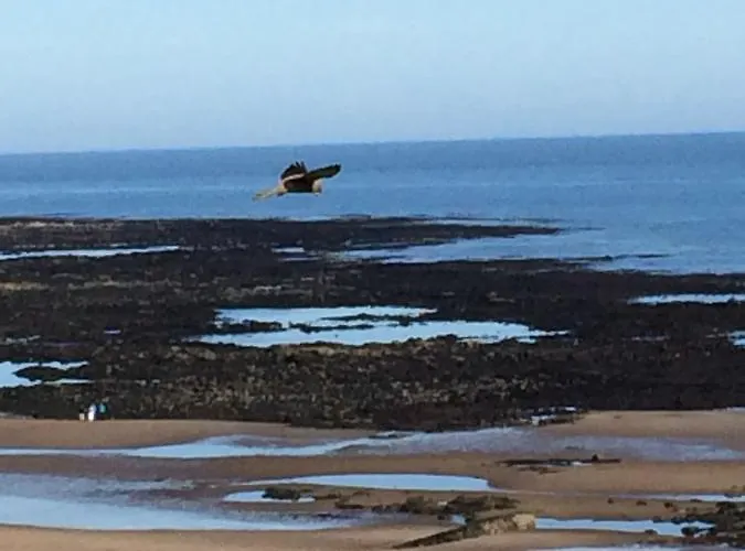 Guest house North Sands