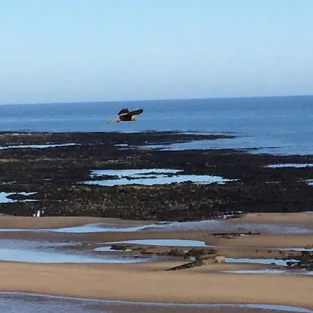 بيت ضيافة North Sands